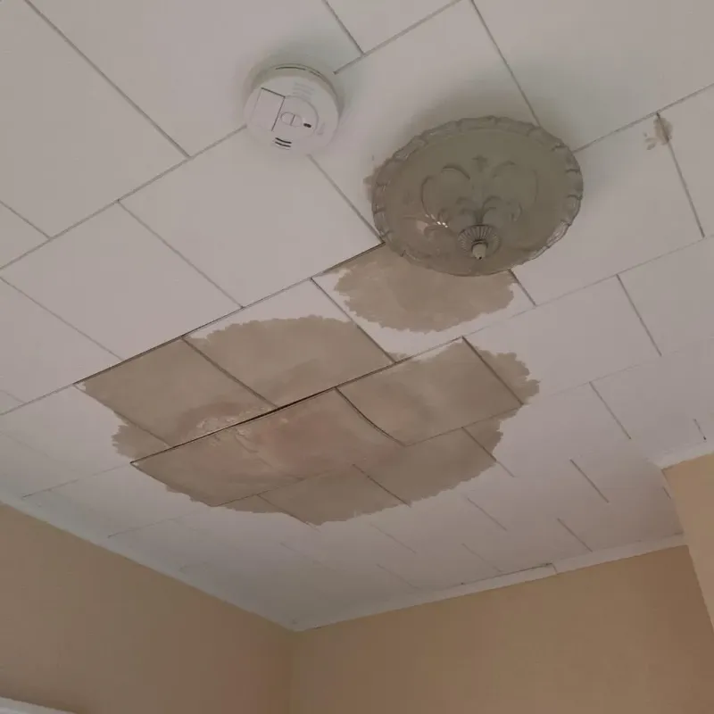 Ceiling Water Damage Repair in Lower Grand Lagoon, FL